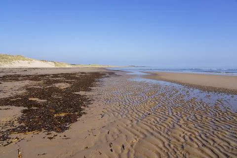 Ripples in the wet sand at low tide. Stock Photos
