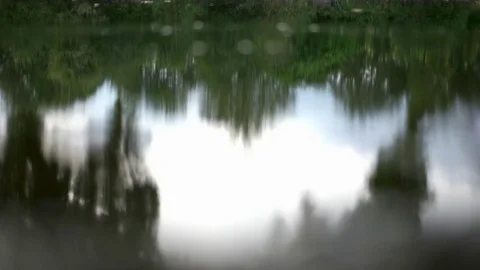 Ripples in a wild pond Stock Footage 83810704