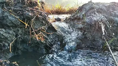 Rippling and clear water flow Stock Footage 311207492