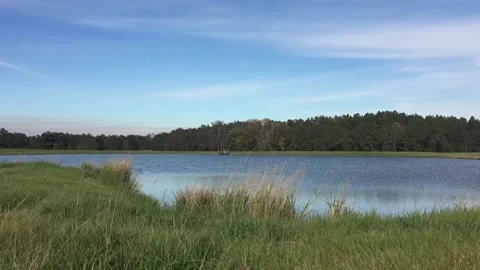 A rippling blue pond 库存影片 134989812