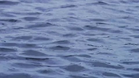 Rippling blue water surface flows during a calm day Stock Footage 329559841