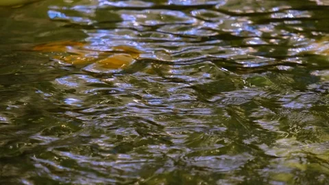 Rippling dark blue-green background water surface abstract background Stock Footage 111074231