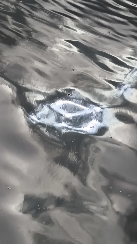 Rippling dark water surface with silver-gray metallic reflections in moody tw Stock Footage 327974826