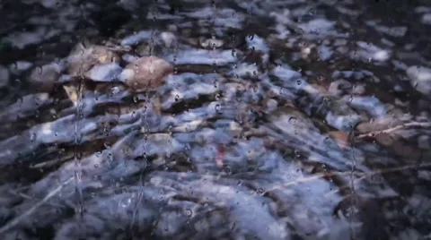 Rippling &amp; dripping water Stock Footage 33937369