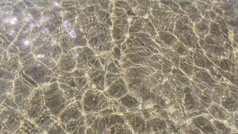 Rippling golden sunlight patterns dancing across calm shallow ocean surface edge Stock Footage 339049898