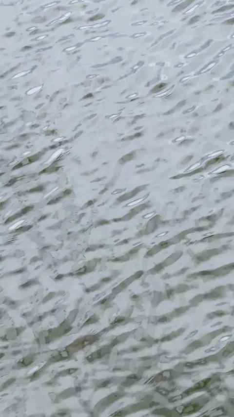 Rippling Gray Water With Shifting Reflections at Canoe Sprint Venue Stock Footage 346015345