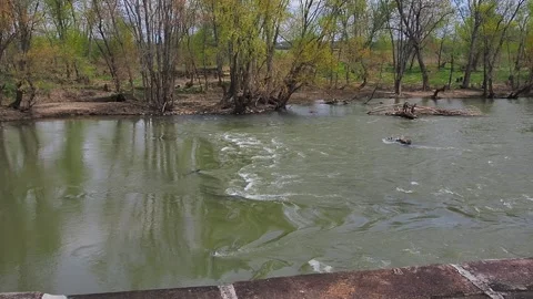 Rippling green small river Stock Footage 131574174