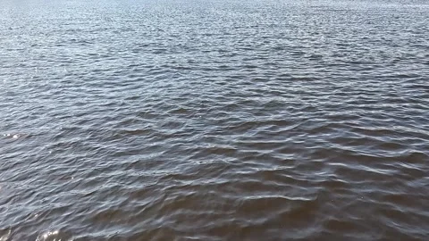Rippling lake surface reflecting daylight in gentle motion Stock Footage 320799122
