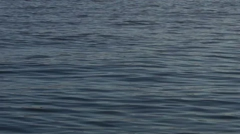 Rippling Ocean Water Video stock 62780846