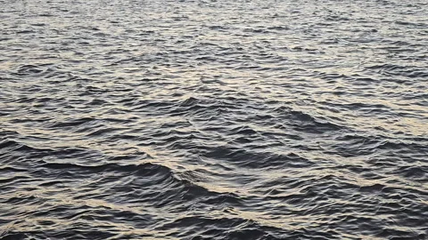 Rippling ocean water surface at sunset, Calm ocean waves reflecting soft sunset Stock Footage 301317912