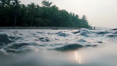 Rippling Ocean Waves with Tropical Palm Tree Shoreline Stock Footage 337778655