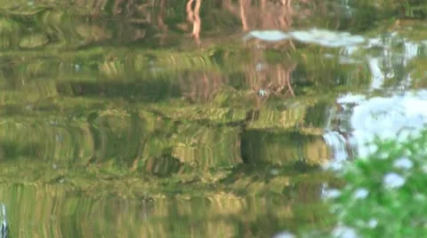 Rippling Pond Reflection Stock Footage 11060380
