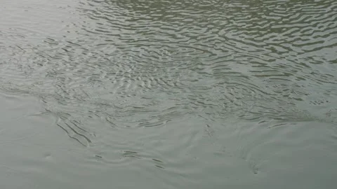 Rippling pond water surface Stock Footage 326149693