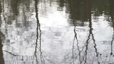 Rippling reflection of trees from stream close 스톡 동영상 144259585