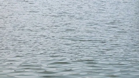 A rippling river surface - closeup Stock-Footage 82240929