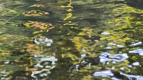 Rippling River Water with Green Reflection and Original Sound Stock Footage 337901617