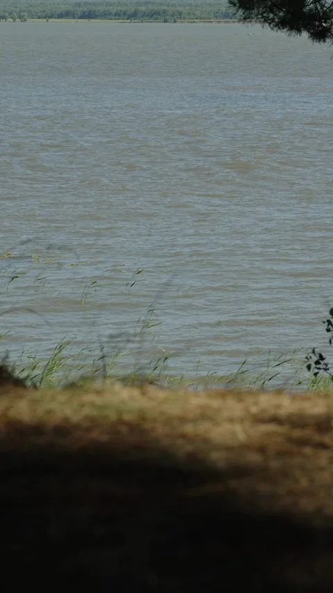 Rippling river water view behind blurred grassy shore in summer 库存影片 337390520