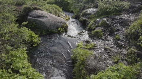 Rippling Stream and Greenery at Disko Island Stock Footage 292941817