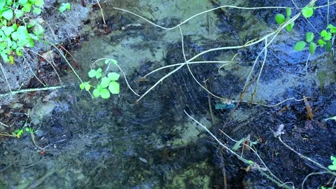 Rippling stream in the ditch with water in all directions. Stockbeeldmateriaal 333286340