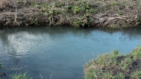 Rippling Stream Stock-Footage 86553774