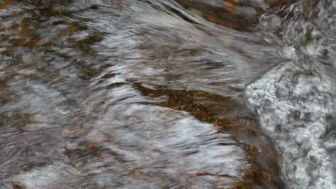 Rippling Stream Surface with Natural Reflections Vídeo Stock 341789906