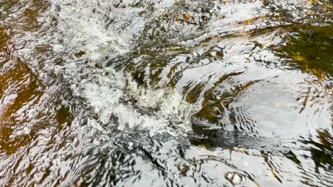 Rippling Stream Water Video stock 155359608