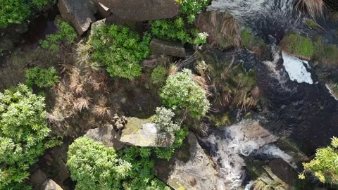 Rippling water flows over mossy rocks Vidéo 342941280