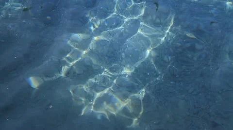 Rippling water Stock Footage 10751969