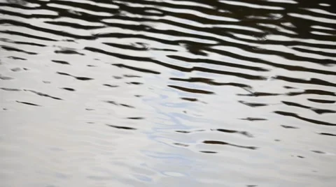 Rippling Water Stock Footage 42976495