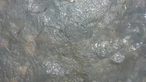 Rippling water Stock Footage 195973815