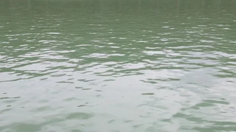 Rippling Water Vidéo 336734444