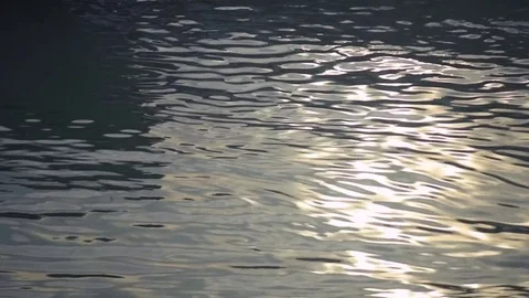 Rippling Water in Marina Vídeo Stock 85044151
