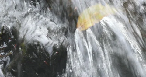 Rippling water over Fallen Leaf in Montreal River Interstate Falls Wisconsin Stock Footage 211417137