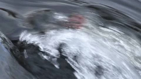 Rippling water over Fallen Maple Leaf in Potato River Foster Falls Wisconsin Stock Footage 232172684