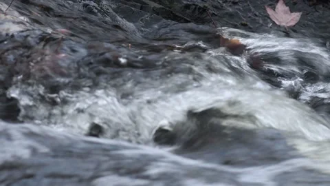 Rippling water over Fallen Maple Leaf in Potato River Foster Falls Wisconsin Stock Footage 232274598