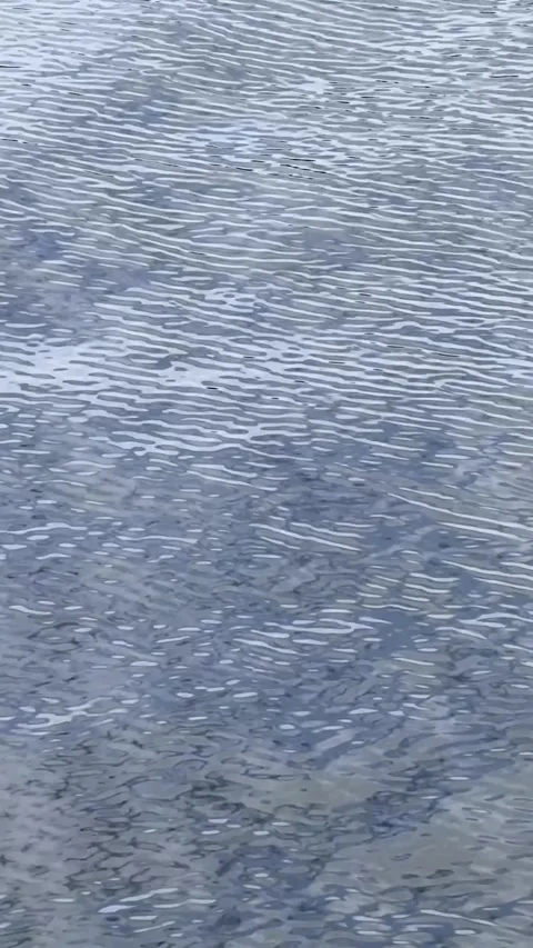 Rippling Water Surface at Brandenburg Canoe Sprint Venue Stock Footage 345181527
