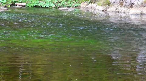 Rippling water surface Stock Footage 48815528