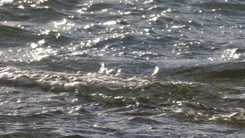 Rippling Water Surface Stock Footage