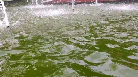 Rippling Water Surface Stock Footage 312195740