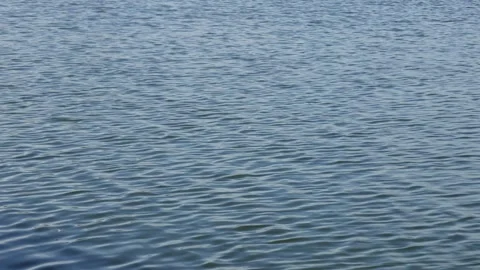 Rippling water surface Stock Footage 320005242