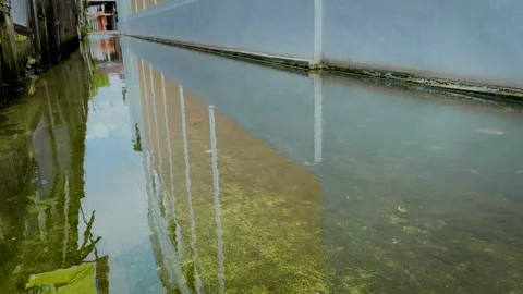 Rippling Water Surface Over Mossy Flooded Ground Stock-Footage 336848713