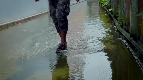 Rippling Water Surface Over Mossy Flooded Ground Stock-Footage 336848738