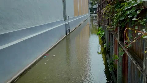Rippling Water Surface Over Mossy Flooded Ground Stock-Footage 336848749