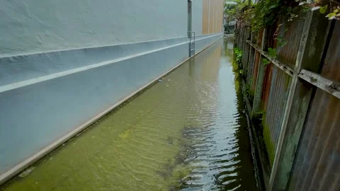 Rippling Water Surface Over Mossy Flooded Ground Stock-Footage 336848794