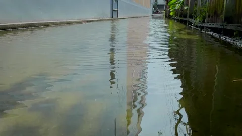 Rippling Water Surface Over Mossy Flooded Ground Stock-Footage 336848878