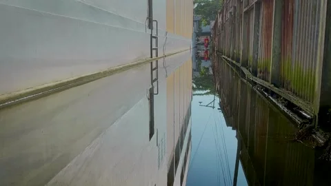 Rippling Water Surface Over Mossy Flooded Ground Video stock 336848941