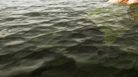 Rippling Water Surface Reflecting Nature’s Calm Beauty Stock Footage 344822273