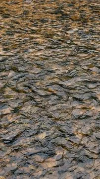 Rippling Water Surface Texture Background Foto stock