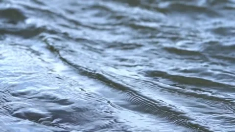 Rippling Water Surface Texture. Video stock 306653389
