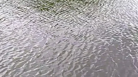 Rippling water surface texture in a lake a close up view of the of a pond Stock Footage 345059082